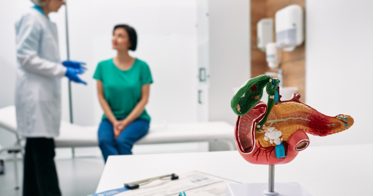 Medical model of the pancreas on a table with a woman seated on a doctor's table in the background