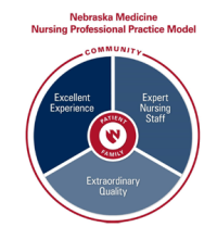 Nursing professional practice model