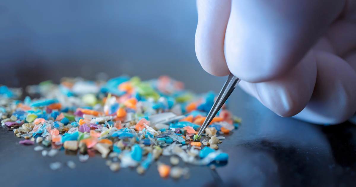 Gloved hand using tweezers to pick up microplastics