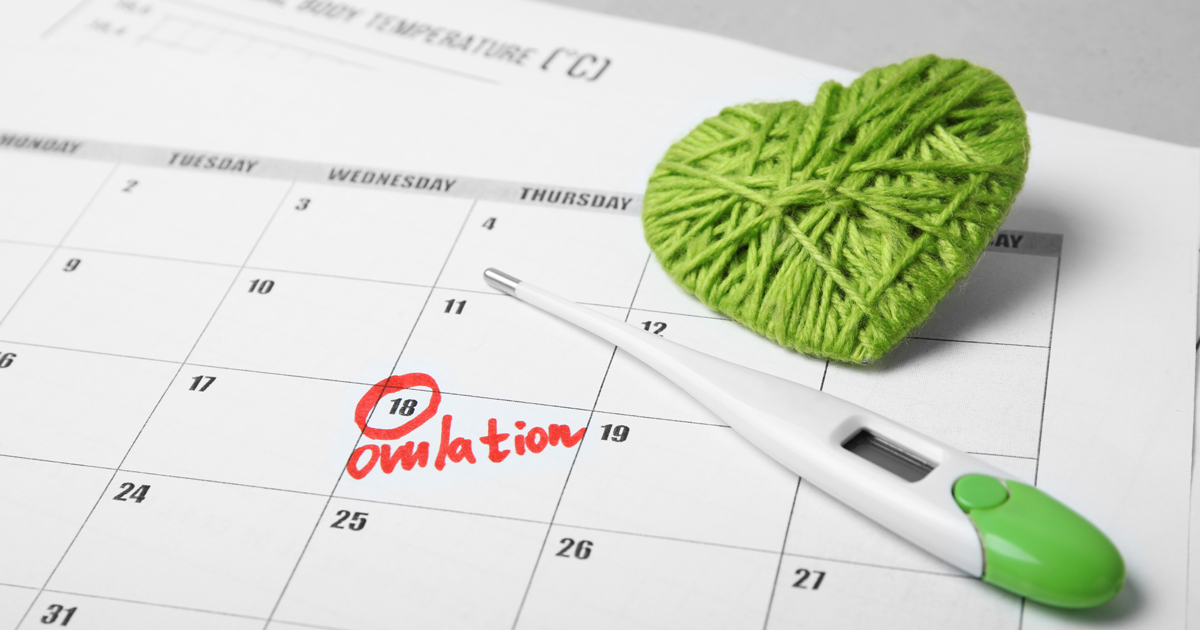 Calendar with a day marked for ovulation