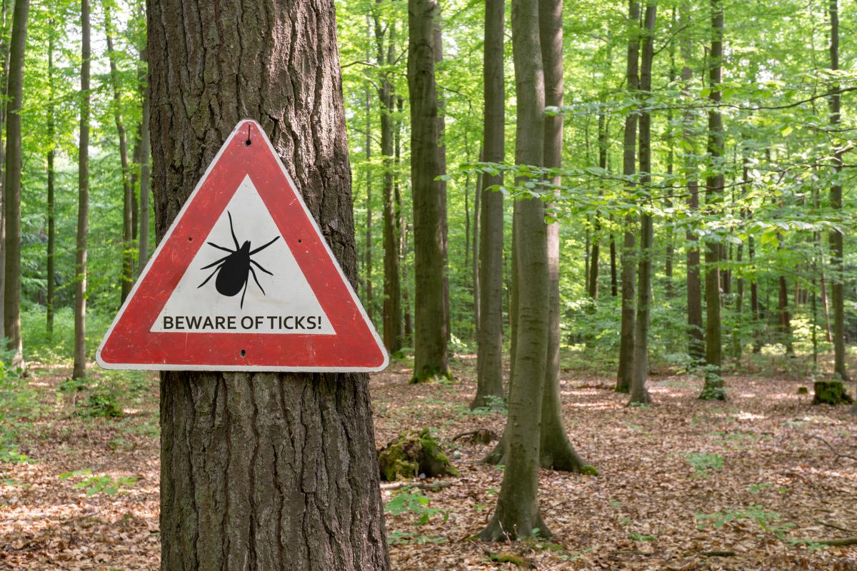 Tick warning sign