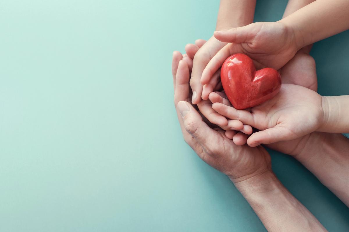 Multiple hands holding plastic heart