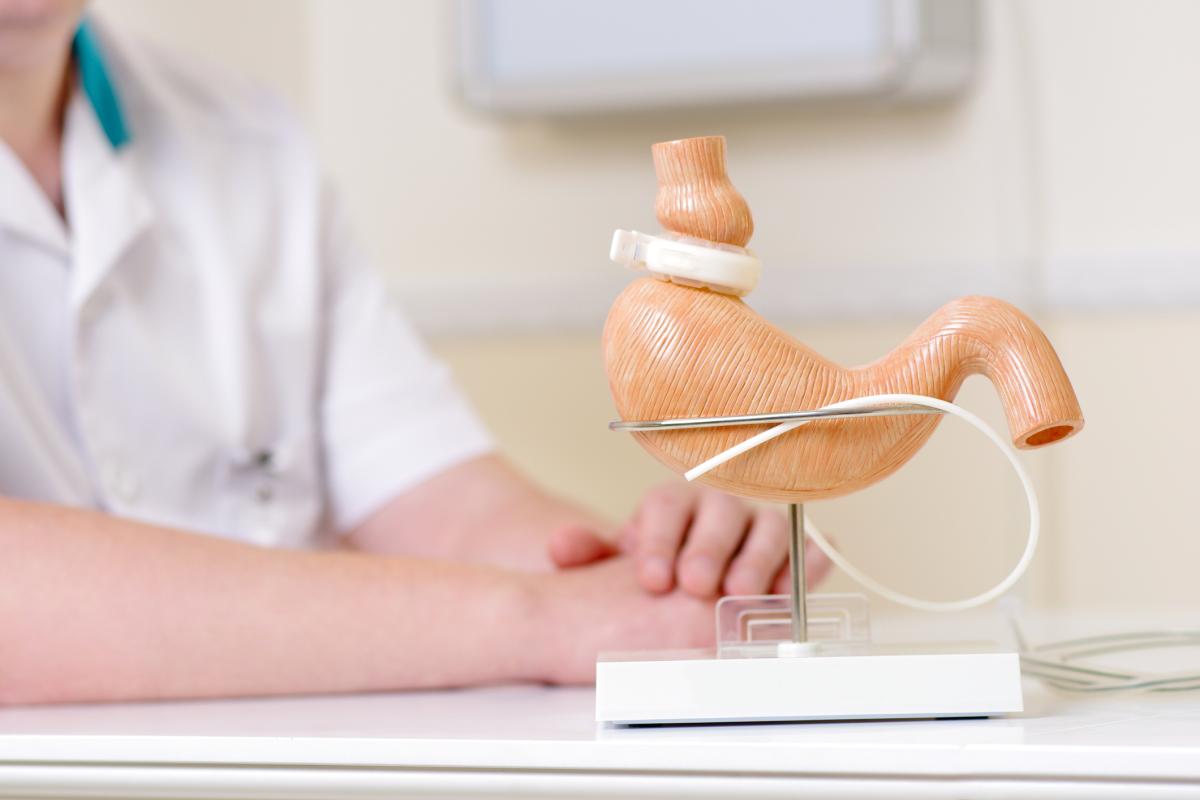 Medical model of stomach with Lap-Band