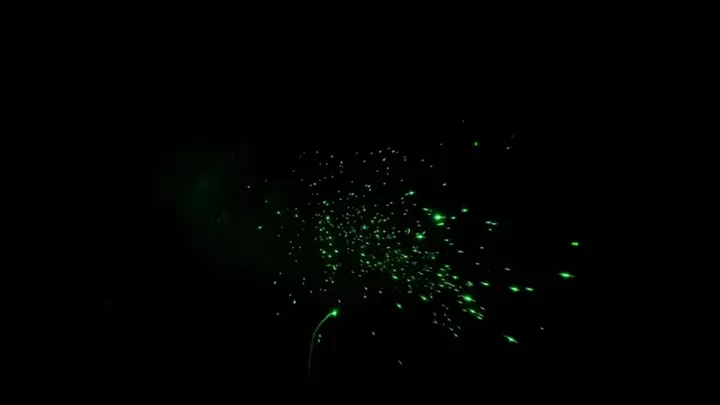Germs
