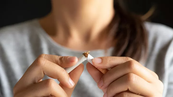 Woman breaking cigarette in half