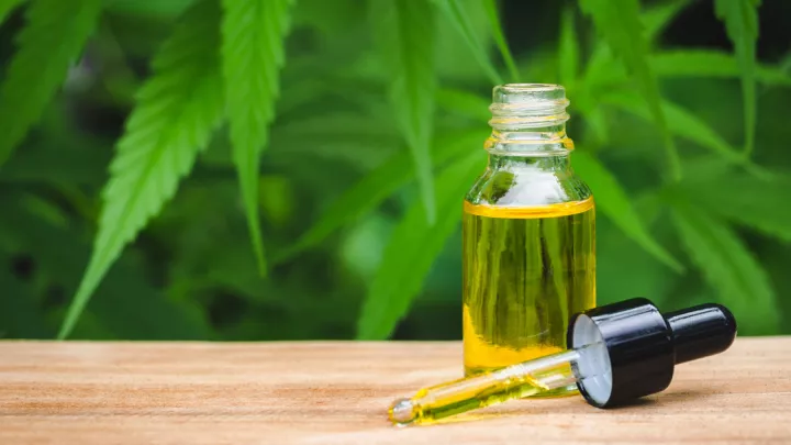 CBD oil