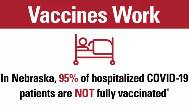 Vaccines work infographic