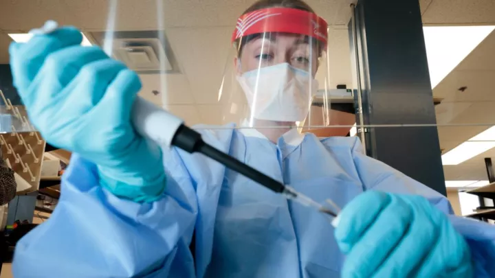 Medical staff performing lab test
