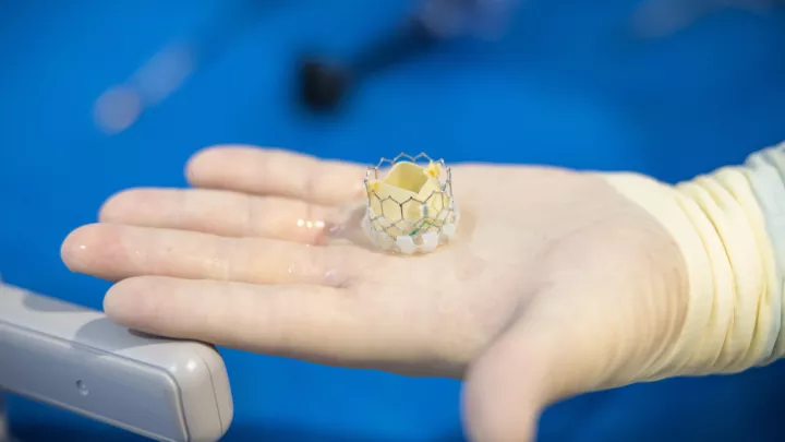 Replacement aortic valve