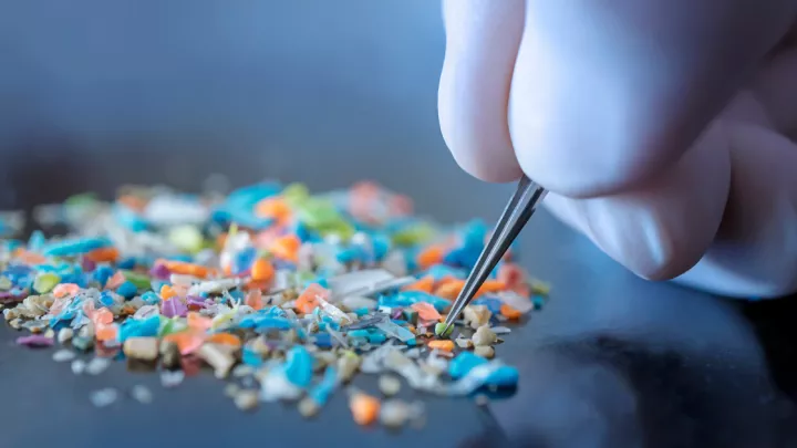 Gloved hand using tweezers to pick up microplastics